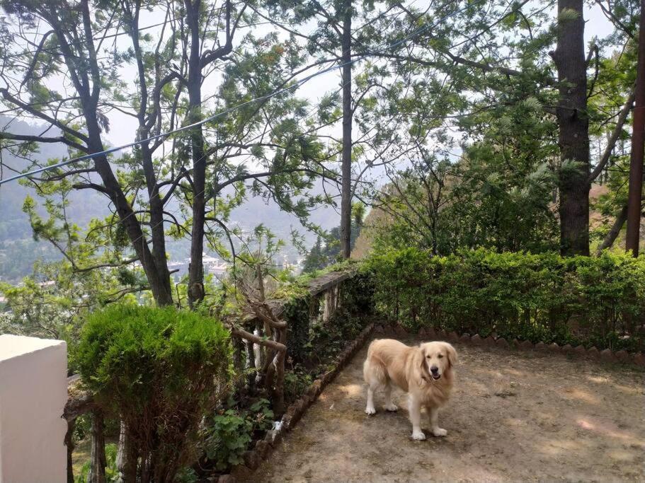 Whistling Thrush Cottage, Bhimtal Nainital Luaran gambar