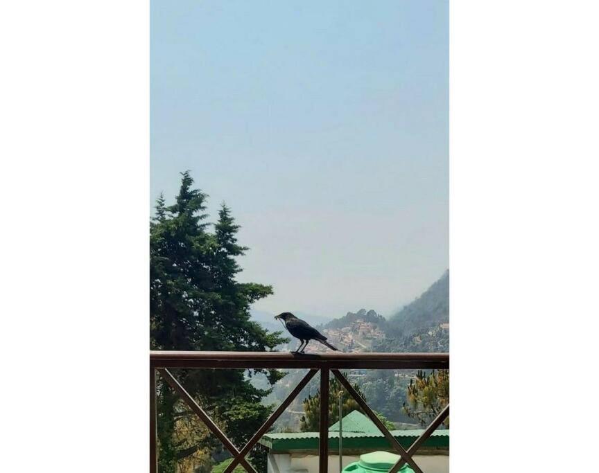 Whistling Thrush Cottage, Bhimtal Nainital Luaran gambar